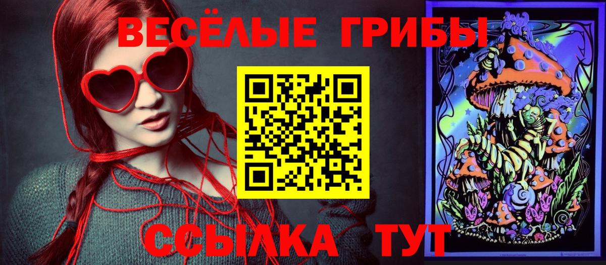 Галлюциногенные грибы MAGIC MUSHROOMS  хочу наркоту  Кушва  Вход с VPN 